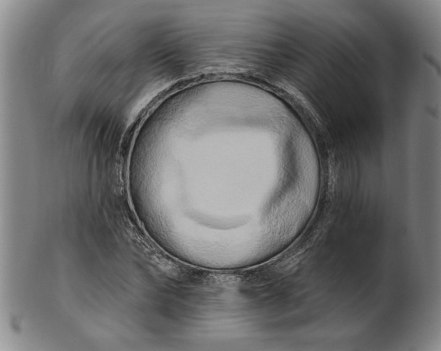 X0000100970878200807081216