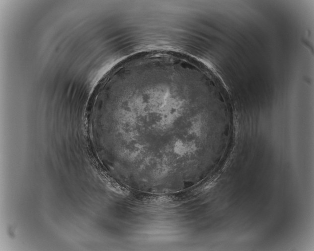 X0000100970879200807081216