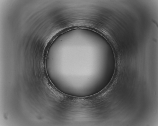 X0000100970880200807081216