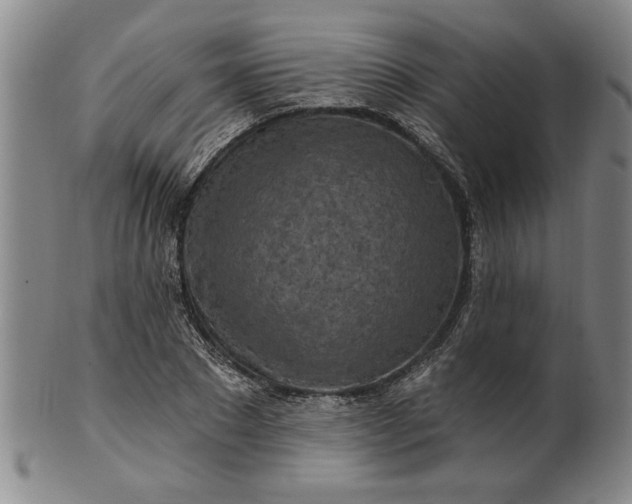 X0000100970881200807081216