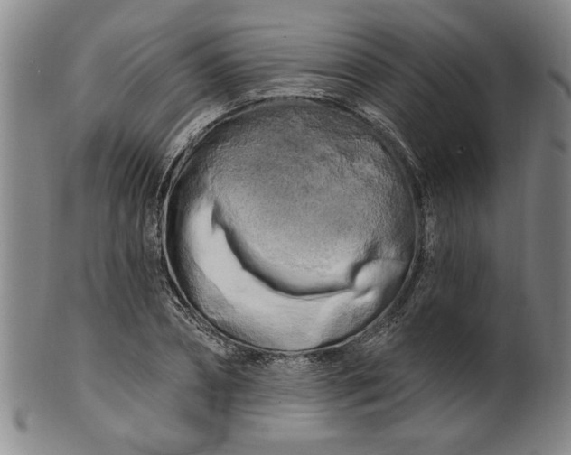 X0000100970882200807081216