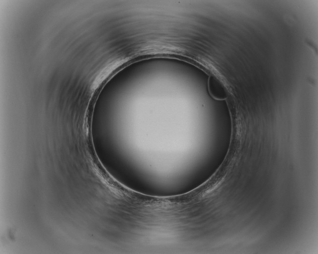 X0000100970885200807081216
