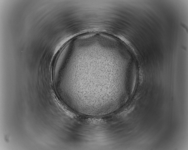 X0000100970886200807081216