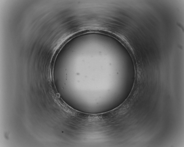 X0000100970887200807081216
