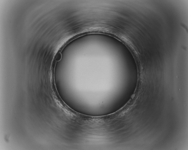 X0000100970888200807081216