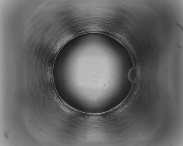 X0000100970889200807081216