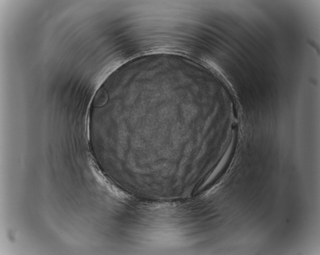 X0000100970892200807081216