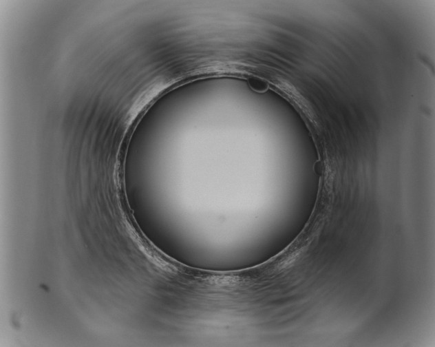 X0000100970893200807081216