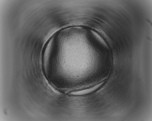 X0000100970894200807081216