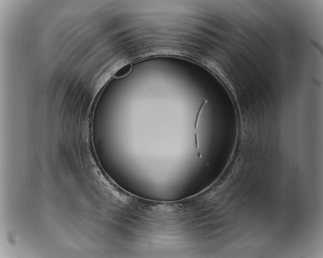 X0000100970898200807081216