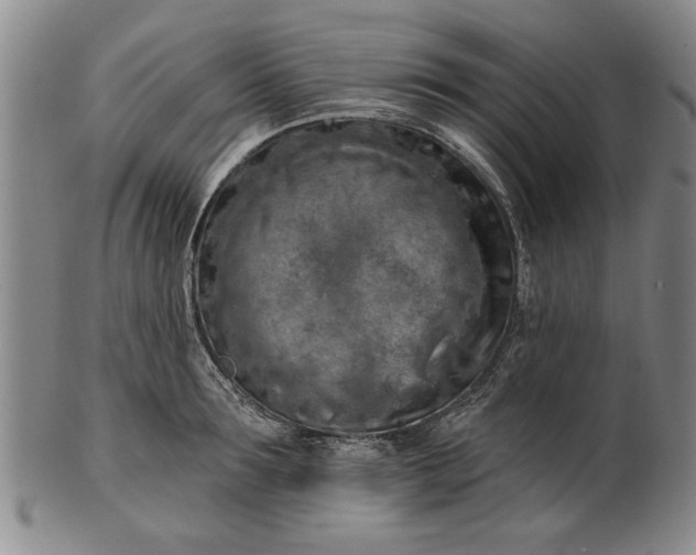 X0000100970899200807081216