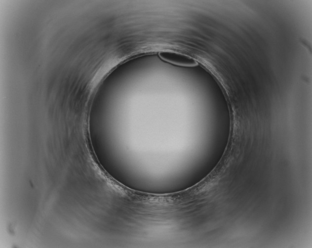 X0000100970901200807081216