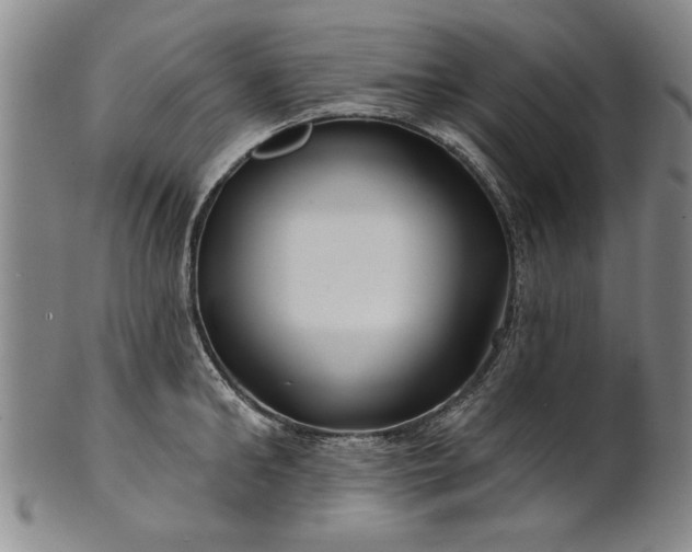 X0000100970902200807081216