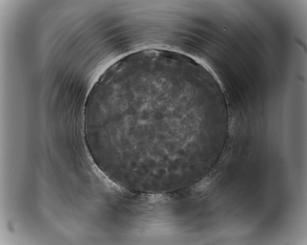 X0000100970903200807081216