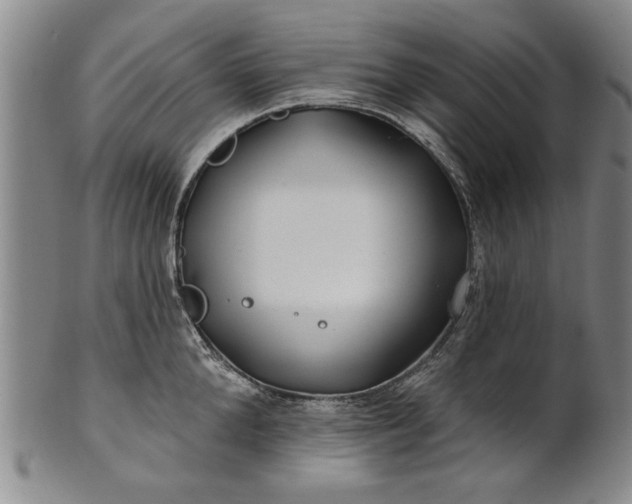 X0000100970904200807081216