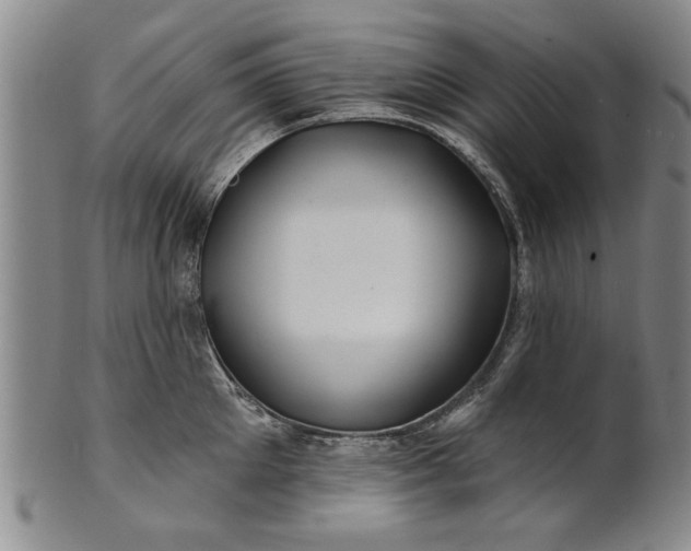 X0000100970905200807081216