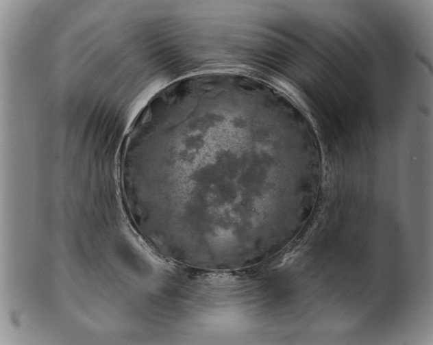 X0000100970907200807081216