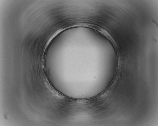 X0000100970908200807081216