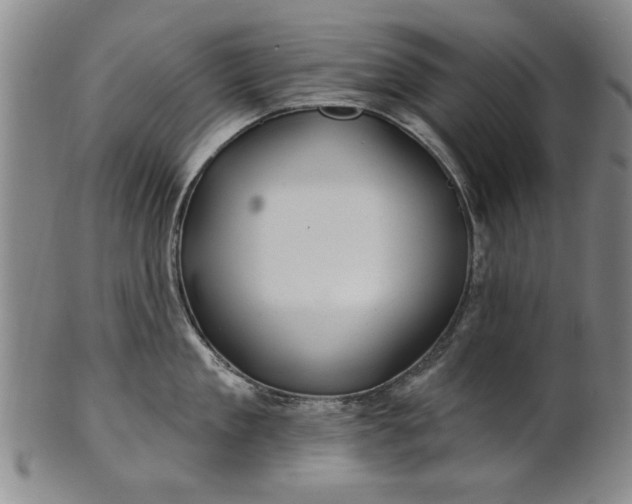 X0000100970909200807081216