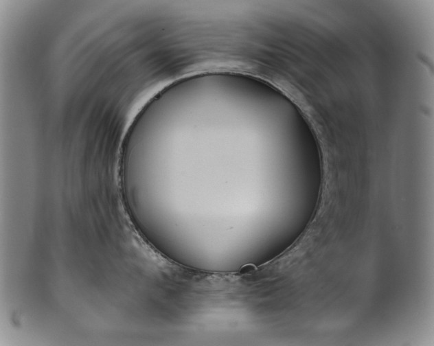 X0000100970912200807081216