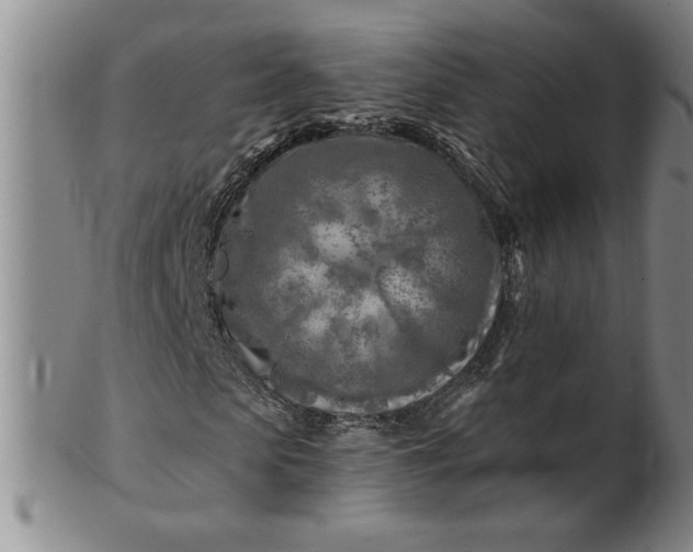 X0000100970913200807081215