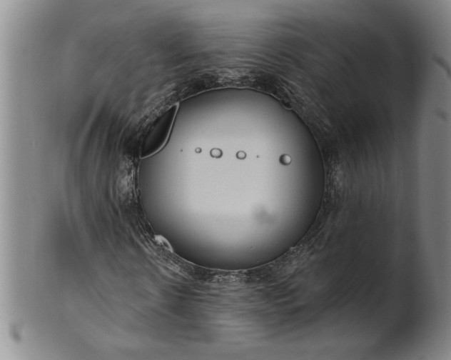 X0000100970914200807081215