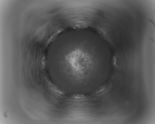 X0000100970915200807081215