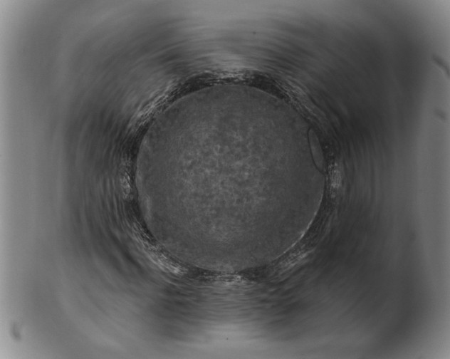 X0000100970916200807081215