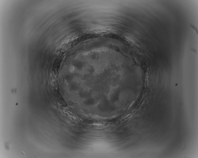 X0000100970917200807081215