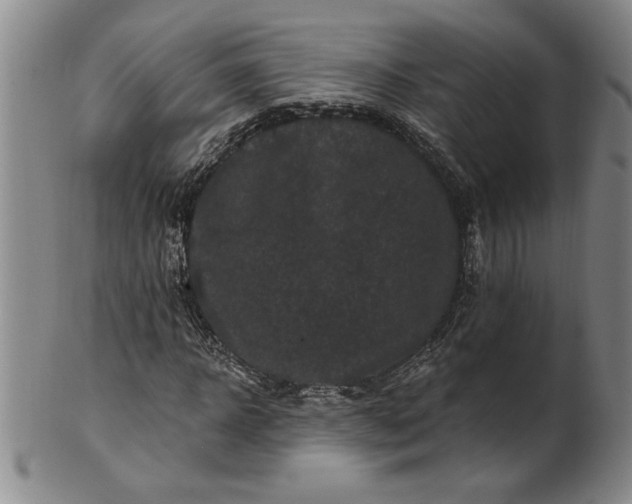 X0000100970918200807081215