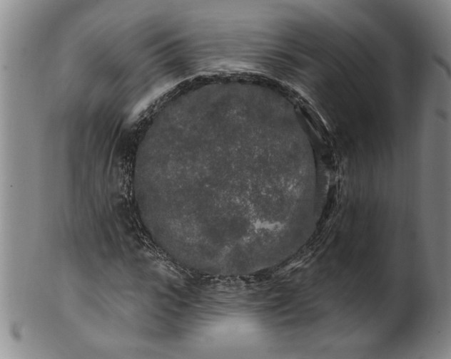 X0000100970919200807081215
