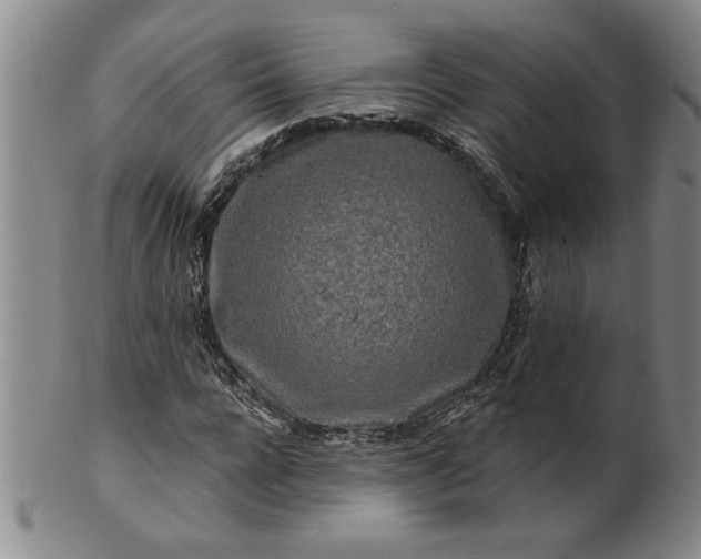 X0000100970920200807081215