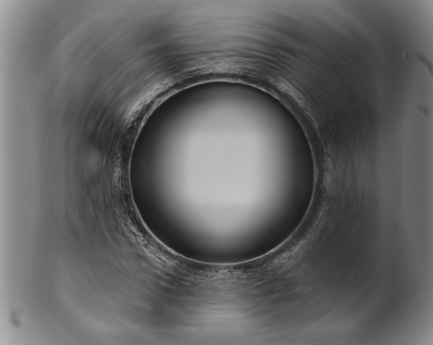 X0000100970922200807081215