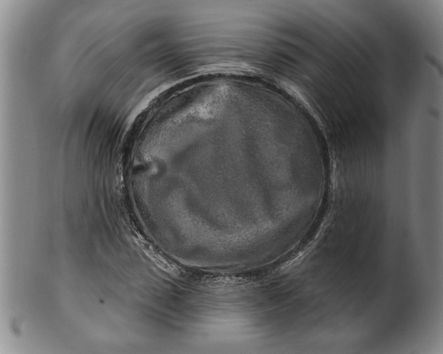 X0000100970923200807081215