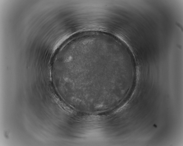 X0000100970925200807081215