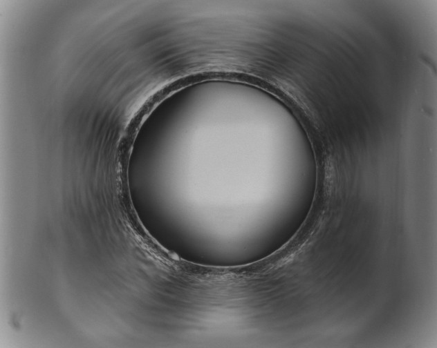 X0000100970926200807081215