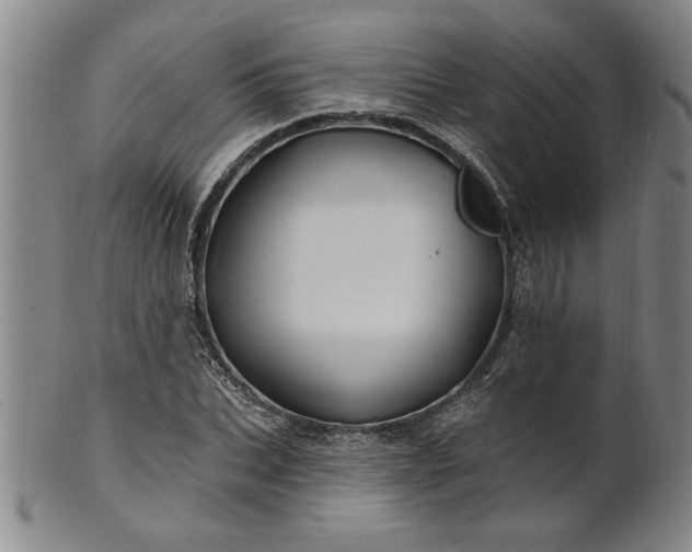 X0000100970927200807081215