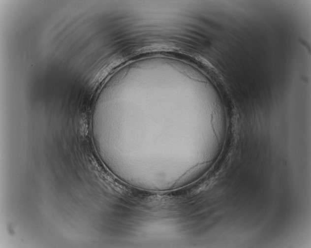 X0000100970929200807081215