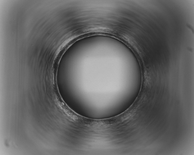 X0000100970931200807081215