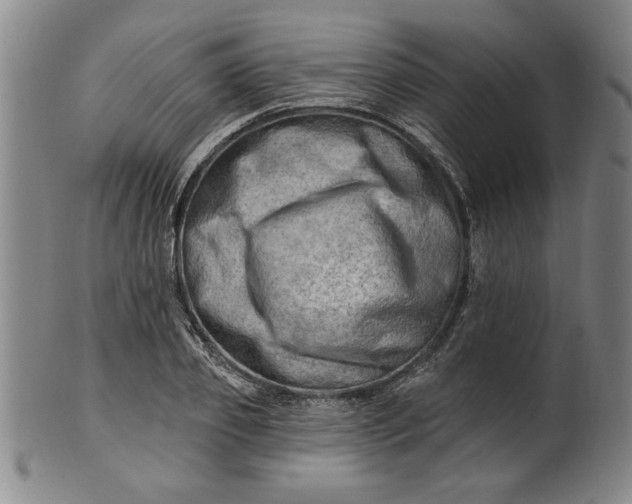 X0000100970933200807081215