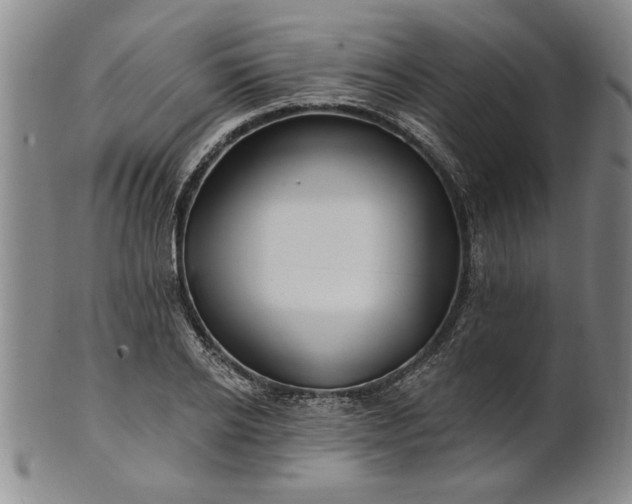 X0000100970934200807081215