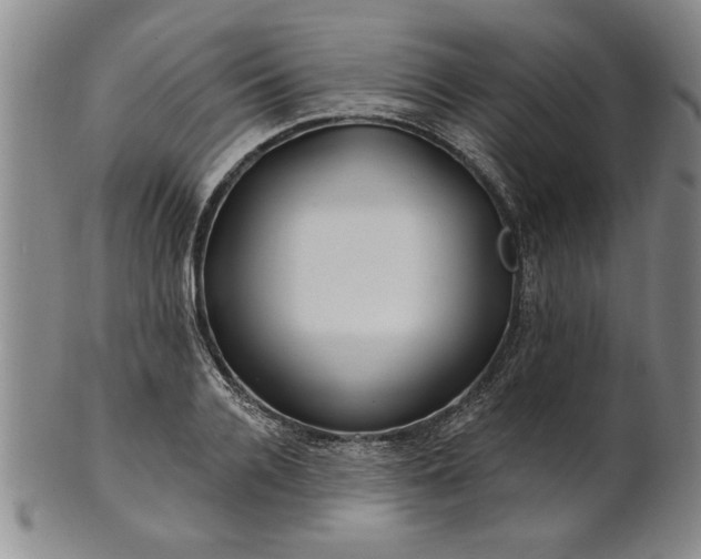X0000100970936200807081215