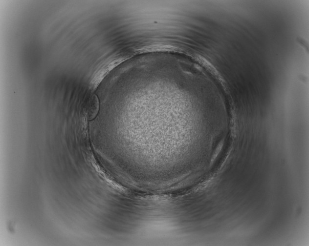 X0000100970937200807081215