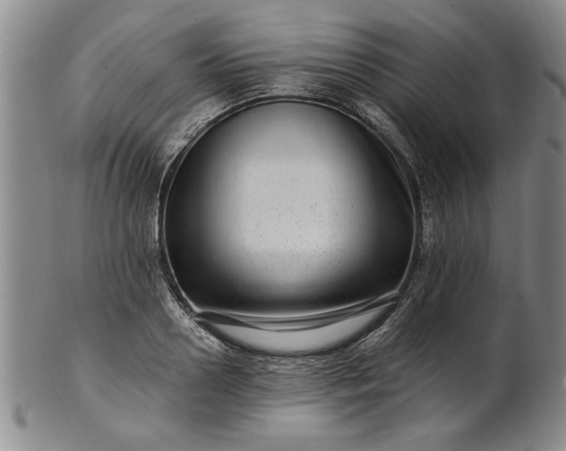 X0000100970938200807081216