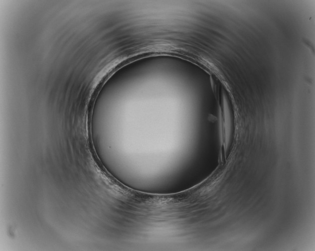 X0000100970939200807081216