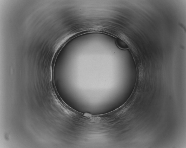 X0000100970940200807081216