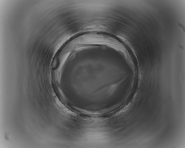 X0000100970941200807081216
