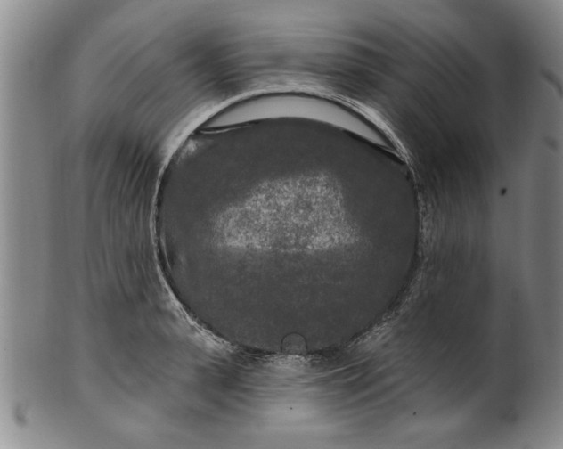 X0000100970943200807081216