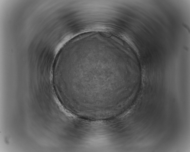 X0000100970944200807081216