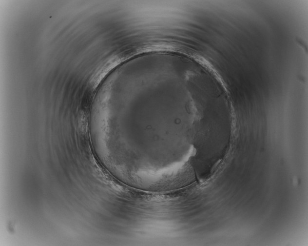 X0000100970945200807081216